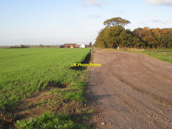 Photo 6"x4" Track to Moss Farm Scotterthorpe c2011