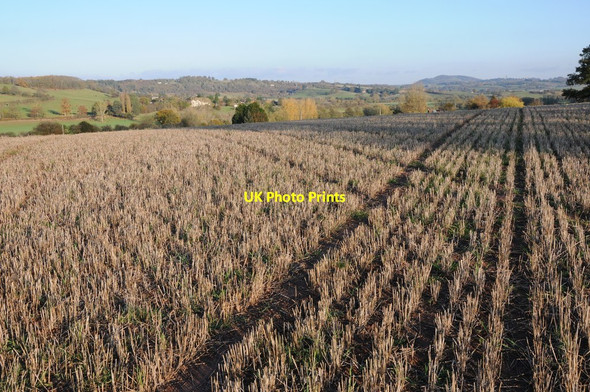 Photo 6"x4" Stubble field in the Teme valley Eardiston\/SO6968 c2011