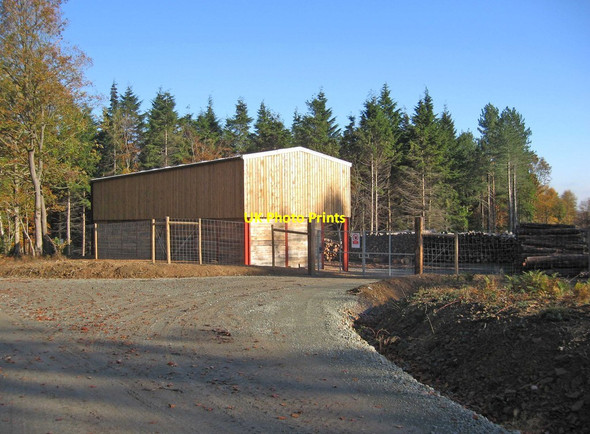 Photo 6"x4" Forestry building in the Wyre Forest Buttonbridge c2011
