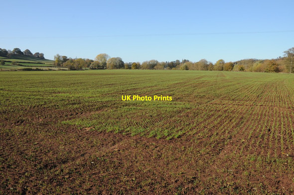 Photo 6"x4" Meadowland at Eastham Eastham\/SO6568 c2011