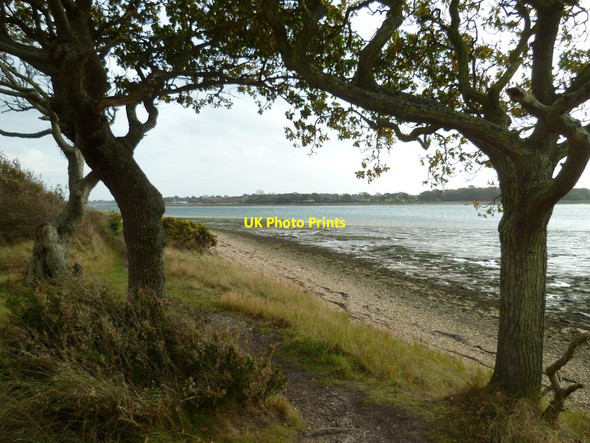 Photo 6"x4" Trees frame the view near Cobnor Point Chidham c2011