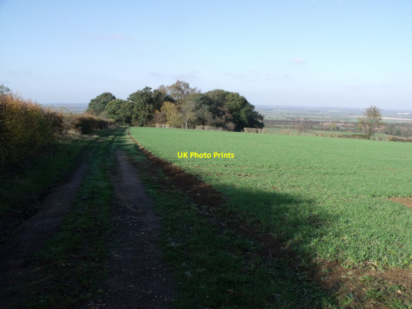 Photo 6"x4" Track to Kite Plantations Leadenham c2011