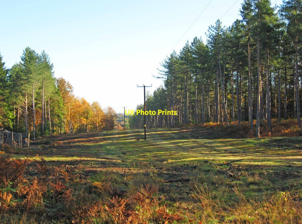 Photo 6"x4" A wide ride in the Wyre Forest Buttonbridge c2011