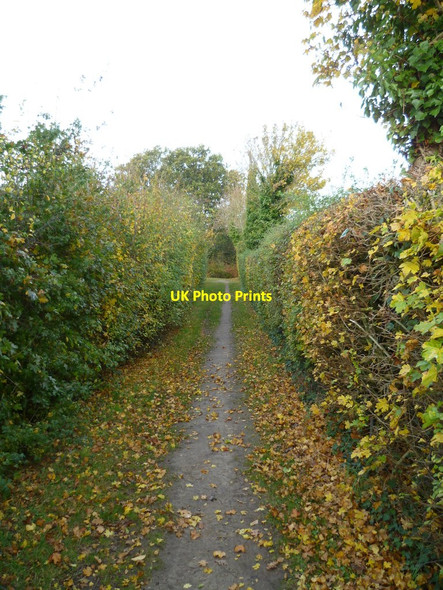 Photo 6"x4" Enclosed path by Cobnor boatyard Chidham c2011