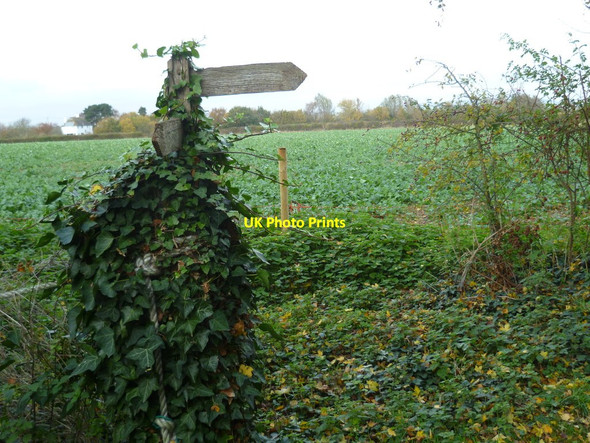 Photo 6"x4" Footpath sign near Cobnor Farm Chidham c2011