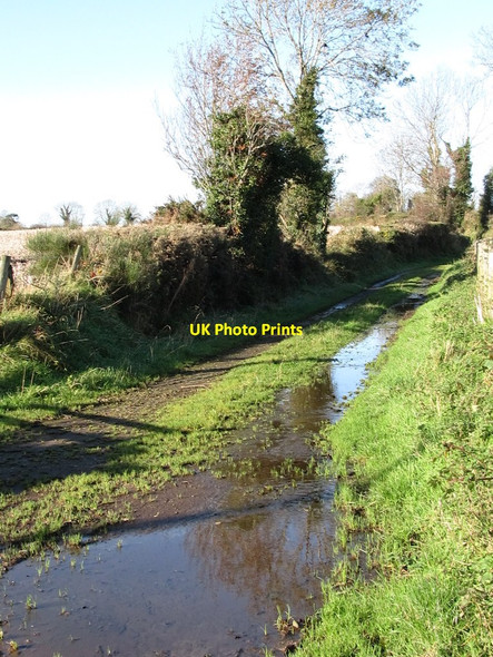 Photo 6"x4" Field access lane off Mill Road Hilltown\/J2128 c2011