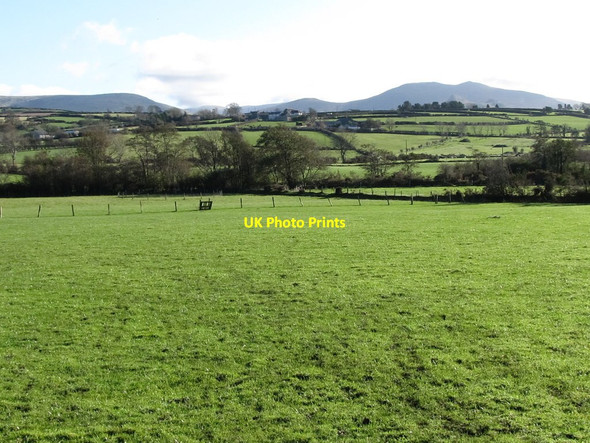 Photo 6"x4" The floodplain of the Upper Bann from Mill Road Hilltown\/J2128 c2011