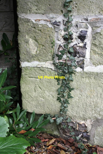 Photo 6"x4" Benchmark on Manor Farm, Riverside Road Salisbury c2011