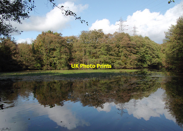Photo 6"x4" Spring Pool in Baggeridge Country Park near Sedgley Sedgley c2011