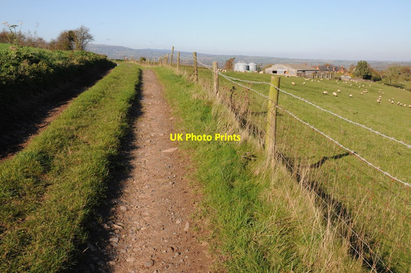 Photo 6"x4" Track to Hillwood Farm Highwood\/SO6566 c2011