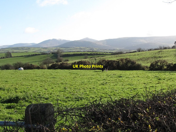 Photo 6"x4" Pasture land on drumlins east of the Ballycoshone Road Hilltown\/J2128 c2011