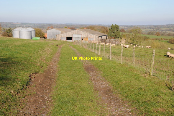 Photo 6"x4" Hillwood Farm Highwood\/SO6566 c2011