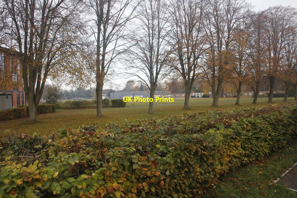 Photo 6"x4" Over the hedge Wallingford c2011