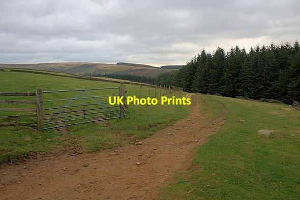 Photo 6"x4" Public Bridleway to Haggwater Bridge Edale End c2011