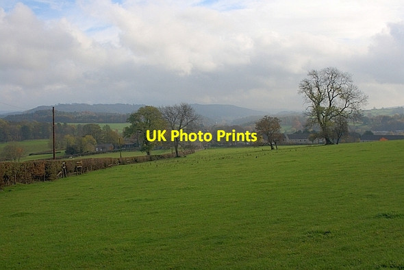 Photo 6"x4" Highfield Farm Field Bakewell c2011