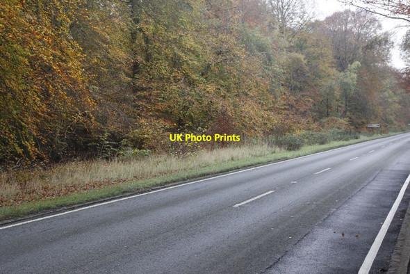 Photo 6"x4" Hidden by the road Catslip c2011