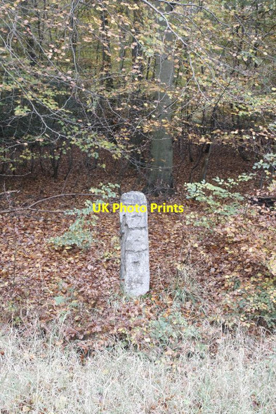 Photo 6"x4" Milestone off the road Catslip c2011