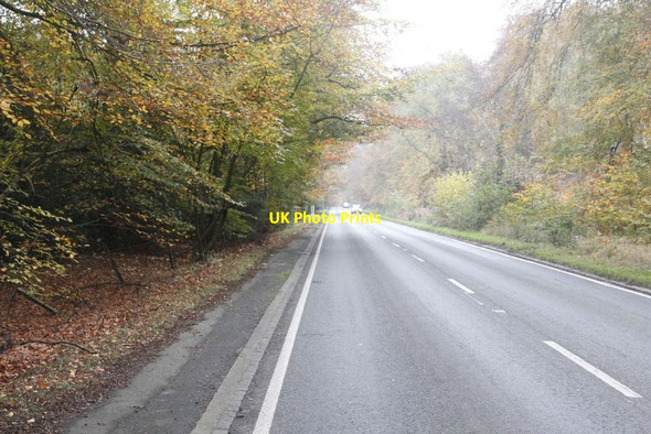Photo 6"x4" Towards Henley Catslip c2011