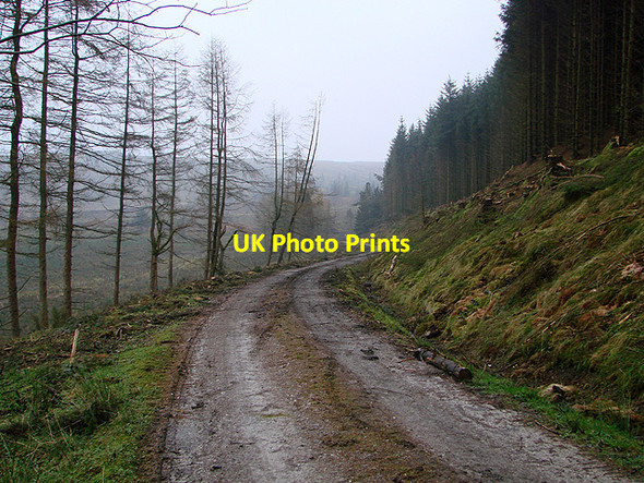 Photo 6"x4" Forestry road at Mossy Bottom Stone House\/SD7785 c2011