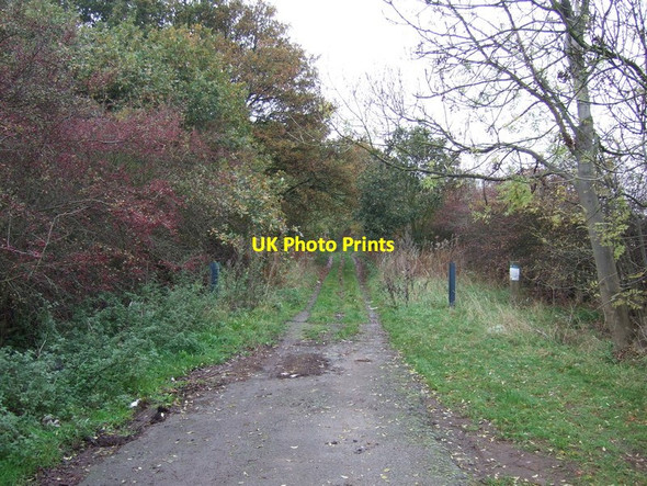 Photo 6"x4" Farm track off the A620 Babworth c2011