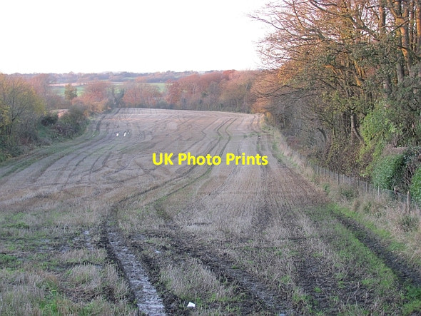 Photo 6"x4" Stubble, East Calder Livingston c2011
