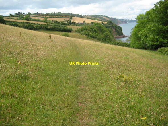 Photo 6"x4" The coast path near Maidencombe Torquay c2011