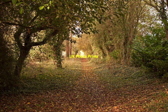 Photo 6"x4" A footpath which runs alongside the A4130 at Bix Bix c2011