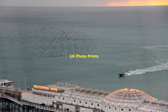 Photo 6"x4" Murmuration at Brighton, East Susses Kemp Town c2011
