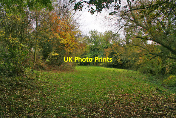 Photo 6"x4" Jubilee Way Long Distance footpath Eaton\/SK7929 c2011