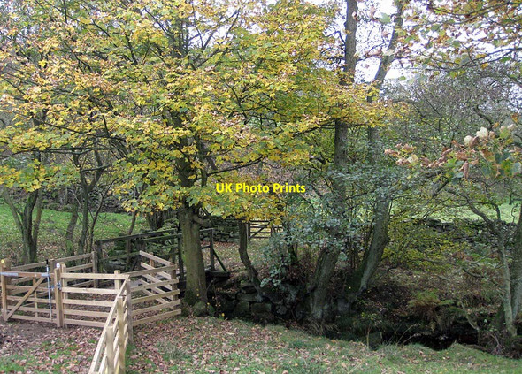 Photo 6"x4" New fences, Northdale Rosedale Abbey c2011