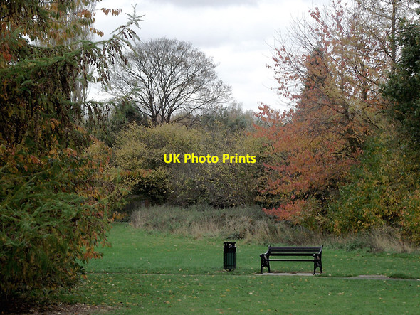 Photo 6"x4" Woodlands Walk in Penn, Wolverhampton Wolverhampton c2011