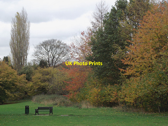 Photo 6"x4" Woodlands Walk in Penn, Wolverhampton Wolverhampton c2011 P1
