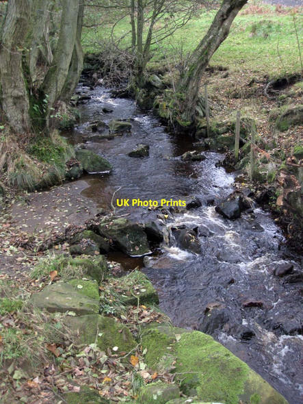 Photo 6"x4" Northdale Beck Rosedale Abbey c2011