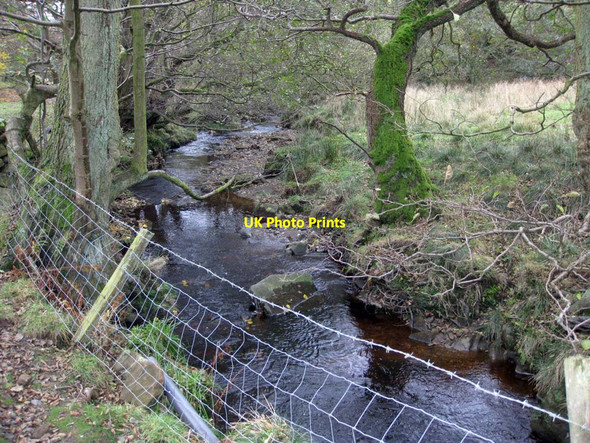 Photo 6"x4" Northdale Beck Rosedale Abbey c2011