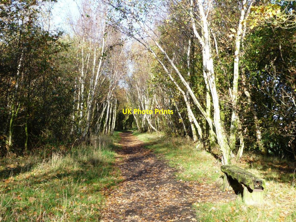 Photo 6"x4" Former railway, now a footpath Newstead\/SE3914 c2011