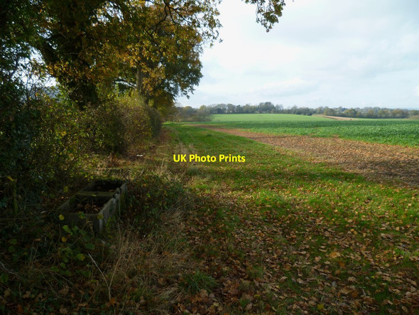 Photo 6"x4" Disused trough in field west of Didling Didling c2011