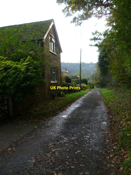 Photo 6"x4" Lane going south in Treyford Treyford c2011