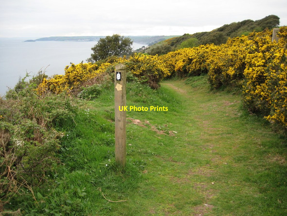 Photo 6"x4" Coast path above Cargloth Cliffs Portwrinkle c2011