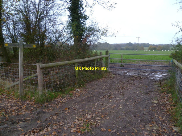 Photo 6"x4" The footpath towards Brimbrook Lane Ingrams Green c2011