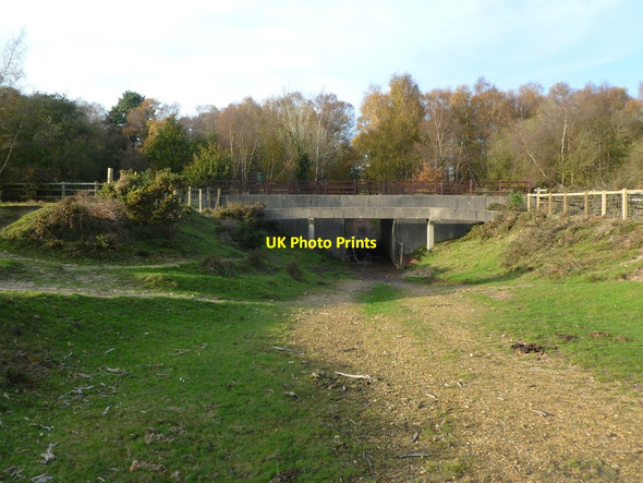 Photo 6"x4" Lyndhurst, underpass Clayhill\/SU3007 c2011