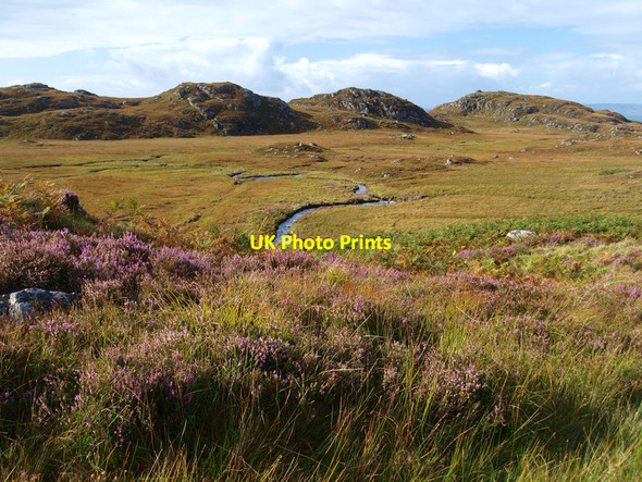 Photo 6"x4" Boggy Walk!! Mallaigmore c2011