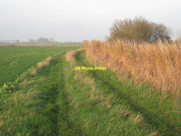 Photo 6"x4" Track by the Old River Don Crowle Hill c2011