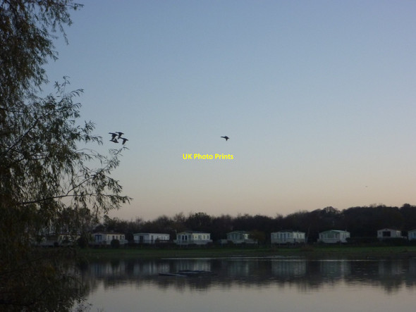 Photo 6"x4" Rural East Lothian : 4+1 At Seafield Pond, Belhaven Dunbar c2011