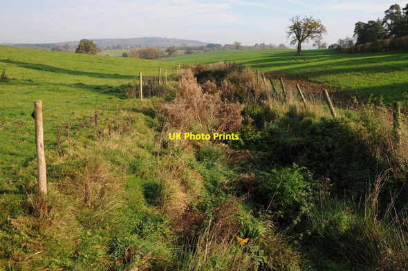 Photo 6"x4" Ditch near Fishpool Farm Coed-y-fedw c2011