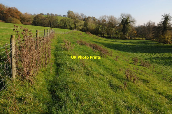 Photo 6"x4" Footpath above Nant Wachen Llanvihangel-Ystern-Llewern c2011