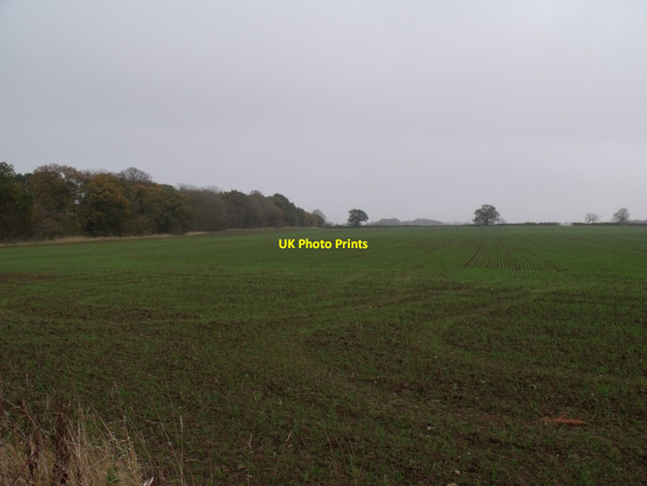 Photo 6"x4" Crop field and Grange Plantation near Claythorpe Claythorpe c2011
