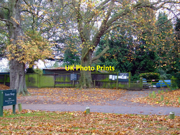 Photo 6"x4" Osterley Park Hounslow c2011 P1