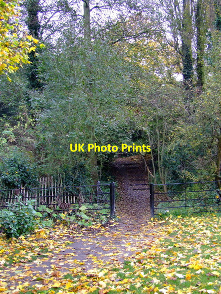 Photo 6"x4" Osterley Park Southall c2011