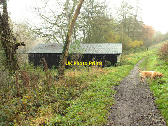 Photo 6"x4" Boathouse on the lake Fonthill Bishop c2011