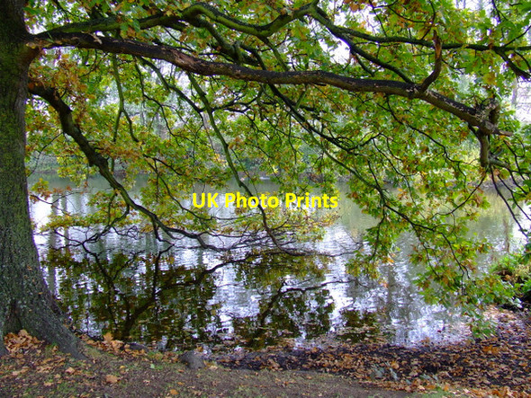 Photo 6"x4" Osterley Park Southall c2011